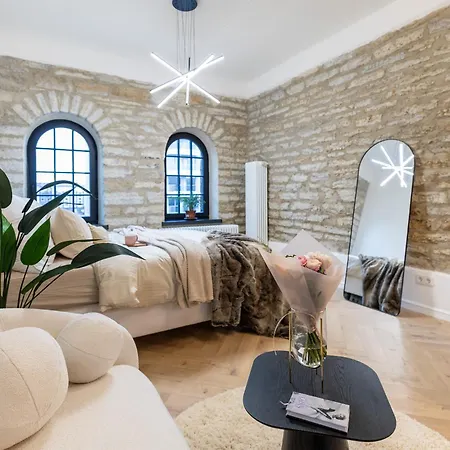 Lejlighed Stylish Loft In Volta Quarter Tallinn