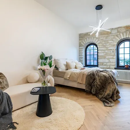 Stylish Loft In Volta Quarter 公寓 *